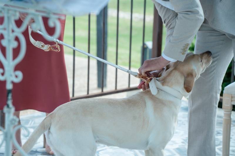 Officiant de cérémonie vers Aix en Provence et ses environs dans le 13