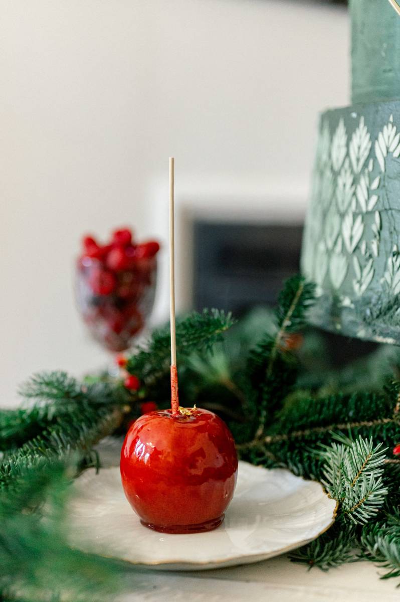 Mariage d'hiver: réalisation de la cérémonie laïque en anglais au Château de Taradel (83) de L & R  !