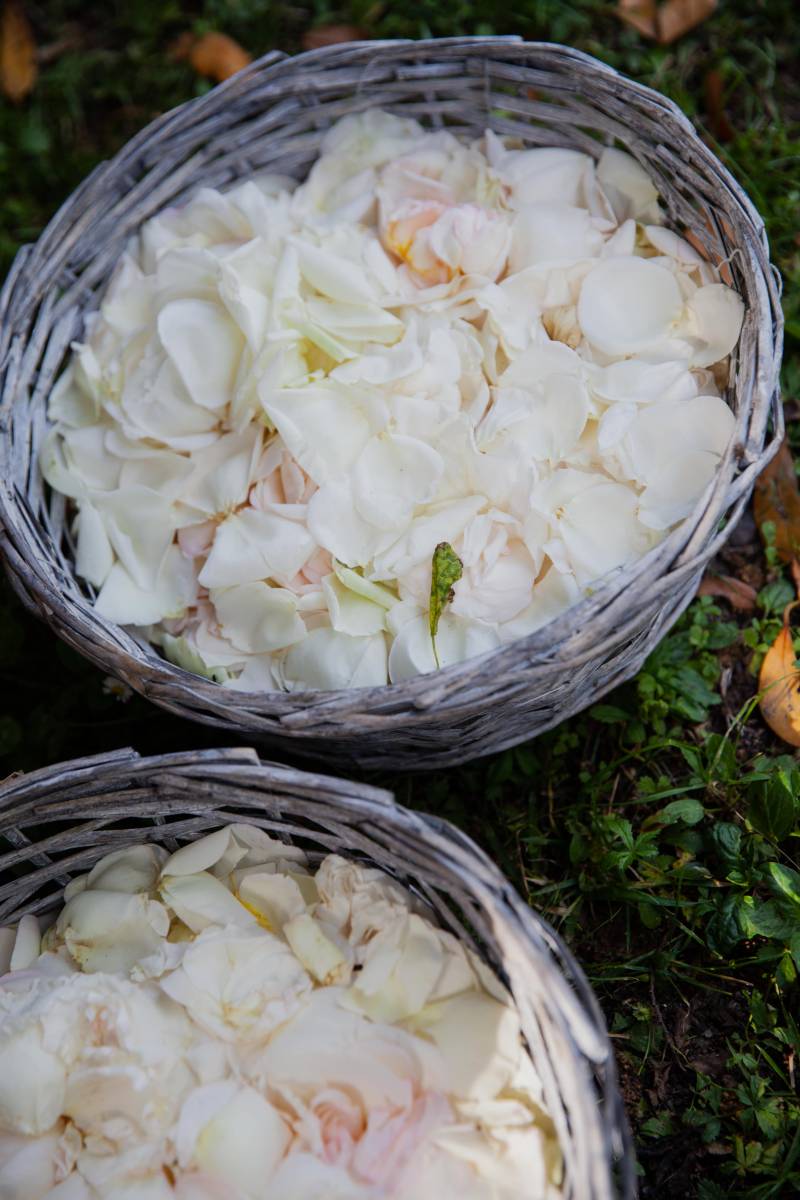 Coaching d'officiant de cérémonie laïque: formule 