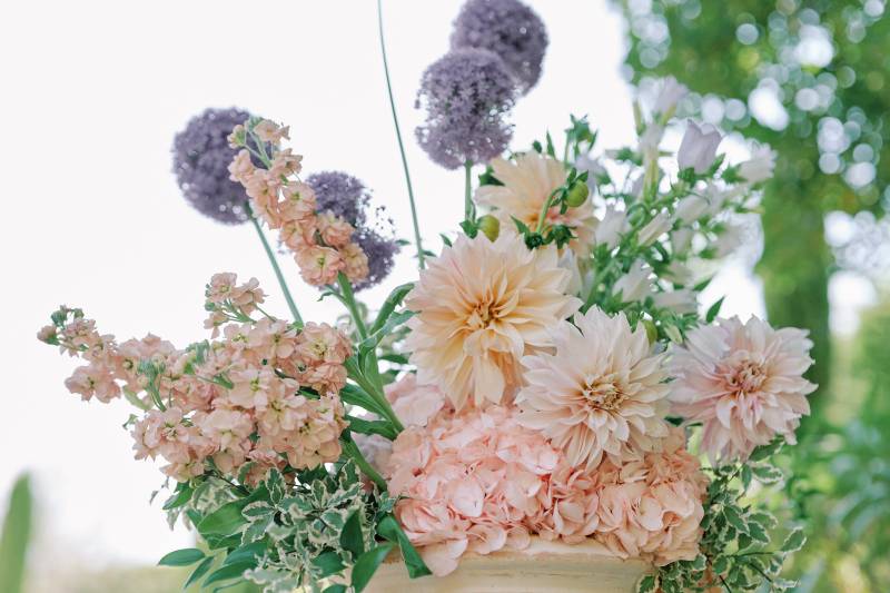 Wedding celebrant in Saint Remy de Provence and Southern France