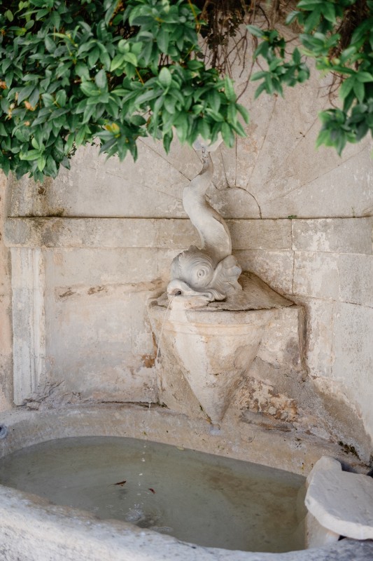 Renouvellement de voeux en PACA et région Sud