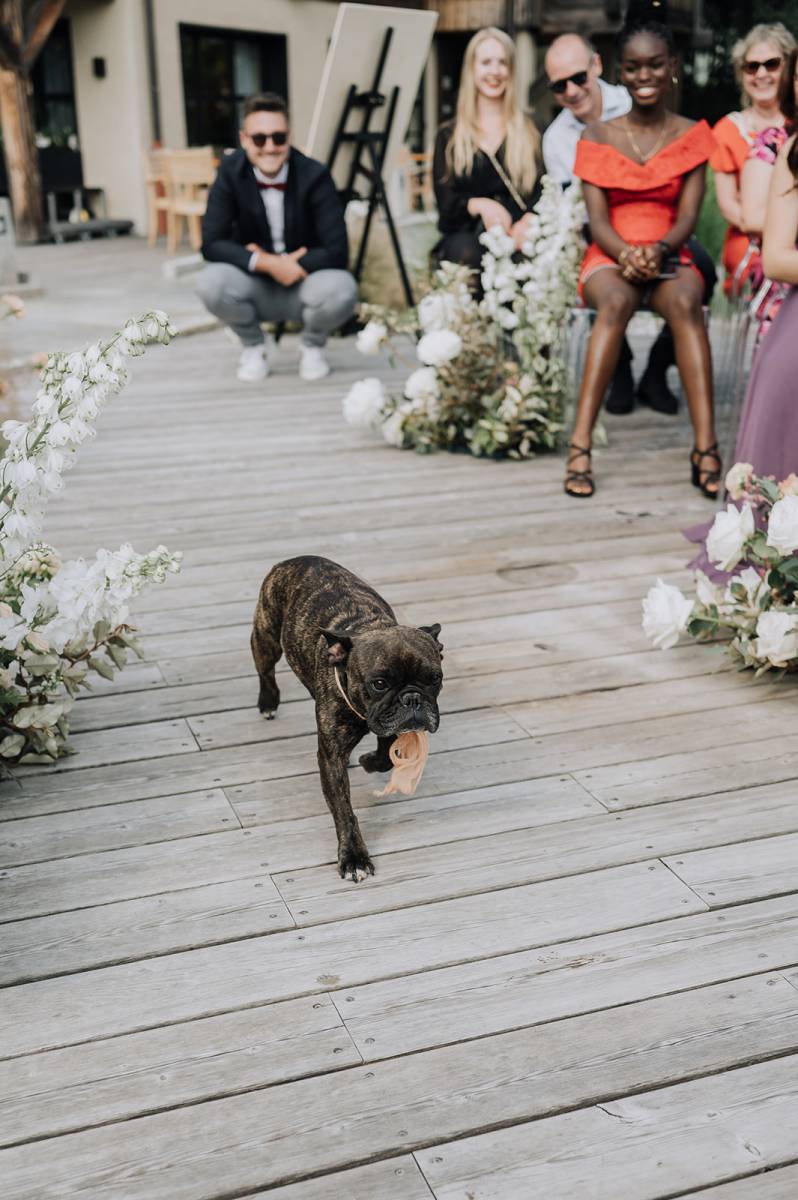 Comment réaliser un échange d'alliances original?