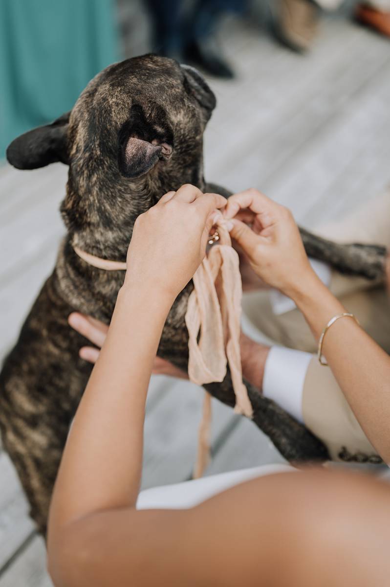 Un échange des alliances original: comment faire?