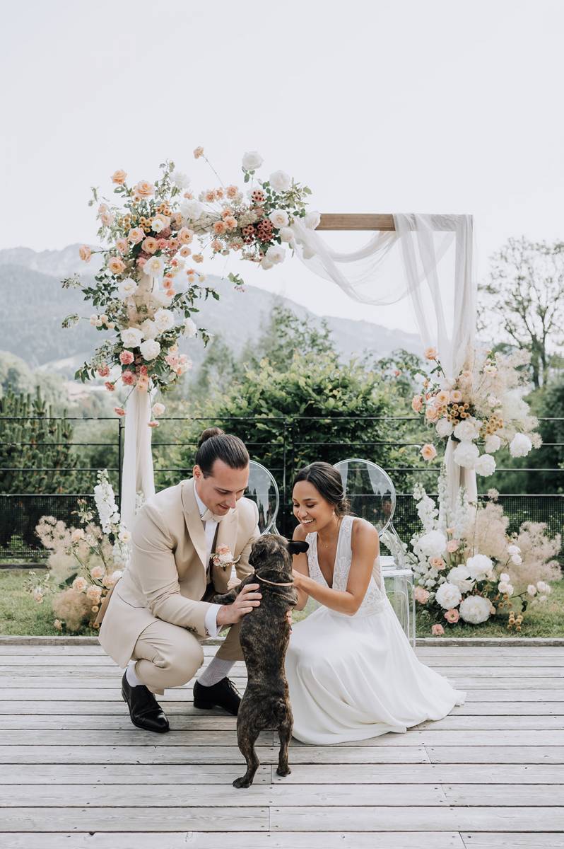 Qui amène les alliances